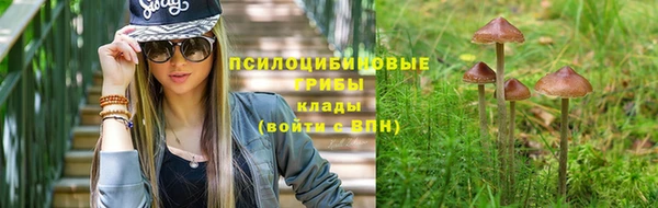 мефедрон Богородицк
