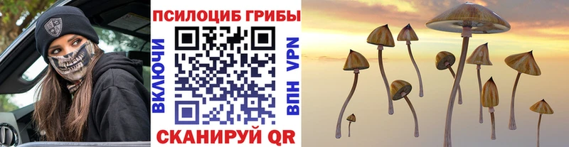 Купить где  Куровское  Псилоцибиновые грибы мухоморы 